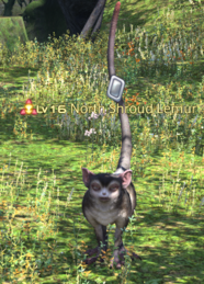 North Shroud Lemur.png