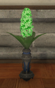 Green Hyacinths.png