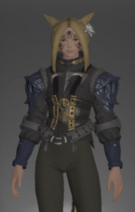 Ivalician Mercenary's Jacket front.png