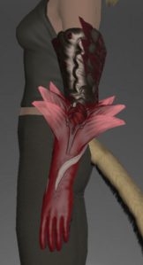 Parrotliege Gloves side.png